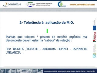 2- Tolerância à aplicação de M.O.
Plantas que toleram / gostam de matéria orgânica mal
decomposta devem estar na “cabeça” da rotação :
Ex: BATATA ,TOMATE , ABOBORA PEPINO , ESPINAFRE
,MELANCIA .
 