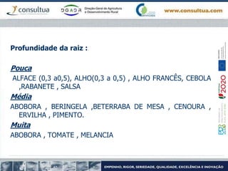 Profundidade da raiz :
Pouca
ALFACE (0,3 a0,5), ALHO(0,3 a 0,5) , ALHO FRANCÊS, CEBOLA
,RABANETE , SALSA
Média
ABOBORA , BERINGELA ,BETERRABA DE MESA , CENOURA ,
ERVILHA , PIMENTO.
Muita
ABOBORA , TOMATE , MELANCIA
 