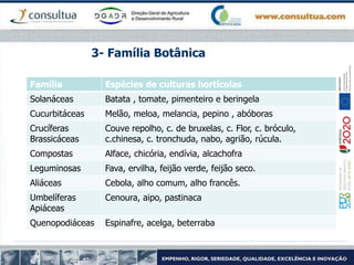 Família Espécies de culturas hortícolas
Solanáceas Batata , tomate, pimenteiro e beringela
Cucurbitáceas Melão, meloa, melancia, pepino , abóboras
Crucíferas
Brassicáceas
Couve repolho, c. de bruxelas, c. Flor, c. bróculo,
c.chinesa, c. tronchuda, nabo, agrião, rúcula.
Compostas Alface, chicória, endívia, alcachofra
Leguminosas Fava, ervilha, feijão verde, feijão seco.
Aliáceas Cebola, alho comum, alho francês.
Umbelíferas
Apiáceas
Cenoura, aipo, pastinaca
Quenopodiáceas Espinafre, acelga, beterraba
3- Família Botânica
 