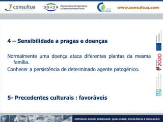 4 – Sensibilidade a pragas e doenças
Normalmente uma doença ataca diferentes plantas da mesma
família.
Conhecer a persistência de determinado agente patogénico.
5- Precedentes culturais : favoráveis
 