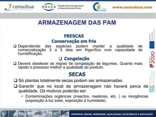 ARMAZENAGEM DAS PAM
SECAS
 Só plantas totalmente secas podem ser armazenadas.
 Garantir que no local de armazenagem não haverá perca de
qualidade. Os motivos poderão ser:
• Contaminações orgânicas (insectos, roedores, etc. ) ou inorgânicas
(exposição à luz solar, exposição à humidade).
FRESCAS
Conservação em frio
 Dependendo das espécies podem manter a qualidade de
comercialização 3 a 5 dias em frigorífico com capacidade de
humidificação.
 Congelação
 Deverá obedecer às regras de congelação de legumes. Quanto mais
rápido o processo melhor a qualidade do produto.
 