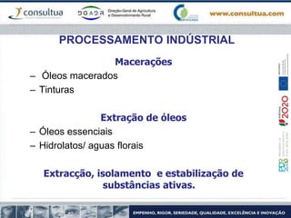 PROCESSAMENTO INDÚSTRIAL
Macerações
– Óleos macerados
– Tinturas
Extração de óleos
– Óleos essenciais
– Hidrolatos/ aguas florais
Extracção, isolamento e estabilização de
substâncias ativas.
 