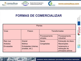 FORMAS DE COMERCIALIZAR
Plantas
Vivas Fresco Transformadas
Processamento
simples
Processamento
industrial
Raiz nua
Alvéolos
Envasadas
…
Granel
Molhos
Embaladas (inteiras,
picadas, etc.)
Secas
Congeladas
Extracção de óleos
Macerações
Isolamento e
extracção de
princípios activos
 