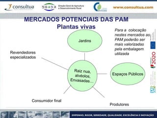 MERCADOS POTENCIAIS DAS PAM
Plantas vivas
Jardins
Espaços Públicos
Produtores
Consumidor final
Revendedores
especializados
Para a colocação
nestes mercados as
PAM poderão ser
mais valorizadas
pela embalagem
utilizada
 