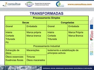 TRANSFORMADAS
Processamento Simples
Secas Congeladas
Granel Embalada Granel Embalada
Inteira
Cortada
Triturada
Pó
Marca própria
Marca branca
Inteira
Cortada
Triturada
Marca Própria
Marca Branca
Processamento Industrial
Extracção de
óleos
Macerações Isolamento e estabilização de
princípios activos
Óleos essenciais
Essências florais
…
Tinturas
Óleos macerados
…
 