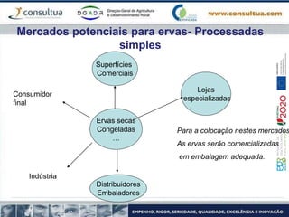 Mercados potenciais para ervas- Processadas
simples
Ervas secas
Congeladas
…
Superfícies
Comerciais
Lojas
especializadas
Distribuidores
Embaladores
Consumidor
final
Indústria
Para a colocação nestes mercados
As ervas serão comercializadas
em embalagem adequada.
 