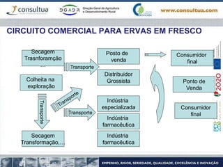 CIRCUITO COMERCIAL PARA ERVAS EM FRESCO
Secagem
Trasnforamção
…
Secagem
Transformação,…
Colheita na
exploração
Posto de
venda
Distribuidor
Grossista
Indústria
especializada
Indústria
farmacêutica
Consumidor
final
Ponto de
Venda
Consumidor
final
Indústria
farmacêutica
Transporte
Transporte
Transporte
 