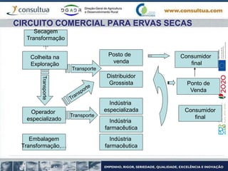 CIRCUITO COMERCIAL PARA ERVAS SECAS
Secagem
Transformação
…
Embalagem
Transformação,…
Operador
especializado
Posto de
venda
Distribuidor
Grossista
Indústria
especializada
Indústria
farmacêutica
Consumidor
final
Ponto de
Venda
Consumidor
final
Indústria
farmacêutica
Transporte
Transporte
Transporte
Colheita na
Exploração
 