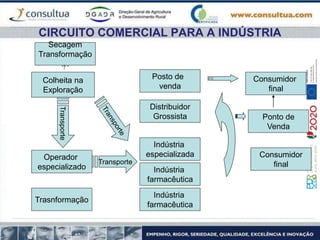 CIRCUITO COMERCIAL PARA A INDÚSTRIA
Secagem
Transformação
…
Trasnformação
Operador
especializado
Posto de
venda
Distribuidor
Grossista
Indústria
especializada
Indústria
farmacêutica
Consumidor
final
Ponto de
Venda
Consumidor
final
Indústria
farmacêutica
Transporte
Transporte
Colheita na
Exploração
 