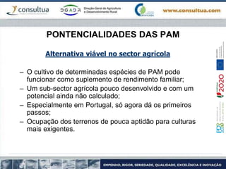 PONTENCIALIDADES DAS PAM
Alternativa viável no sector agrícola
– O cultivo de determinadas espécies de PAM pode
funcionar como suplemento de rendimento familiar;
– Um sub-sector agrícola pouco desenvolvido e com um
potencial ainda não calculado;
– Especialmente em Portugal, só agora dá os primeiros
passos;
– Ocupação dos terrenos de pouca aptidão para culturas
mais exigentes.
 
