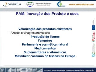 PAM: Inovação dos Produto e usos
Valorização dos produtos existentes
– Azeites e vinagres aromáticos
Produção de licores
Temperos
Perfumaria e cosmética natural
Medicamentos
Suplementares e vitamínicos
Massificar consumo de tisanas na Europa
 