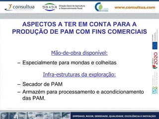 ASPECTOS A TER EM CONTA PARA A
PRODUÇÃO DE PAM COM FINS COMERCIAIS
Mão-de-obra disponível:
– Especialmente para mondas e colheitas
Infra-estruturas da exploração:
– Secador de PAM
– Armazém para processamento e acondicionamento
das PAM.
 