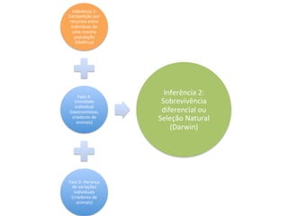 Inferência	
  1:	
  
Compe_ção	
  por	
  
recursos	
  entre	
  
indivíduos	
  de	
  
uma	
  mesma	
  
população	
  
(Malthus)	
  
Fato	
  4:	
  
Unicidade	
  
individual	
  
(taxonomistas,	
  
criadores	
  de	
  
animais)	
  
Fato	
  5:	
  Herança	
  
de	
  variações	
  
individuais	
  
(criadores	
  de	
  
animais)	
  
Inferência	
  2:	
  
Sobrevivência	
  
diferencial	
  ou	
  
Seleção	
  Natural	
  
(Darwin)	
  
 