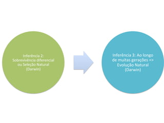 Inferência	
  2:	
  
Sobrevivência	
  diferencial	
  
ou	
  Seleção	
  Natural	
  
(Darwin)	
  
Inferência	
  3:	
  Ao	
  longo	
  
de	
  muitas	
  gerações	
  =>	
  
Evolução	
  Natural	
  
(Darwin)	
  
 