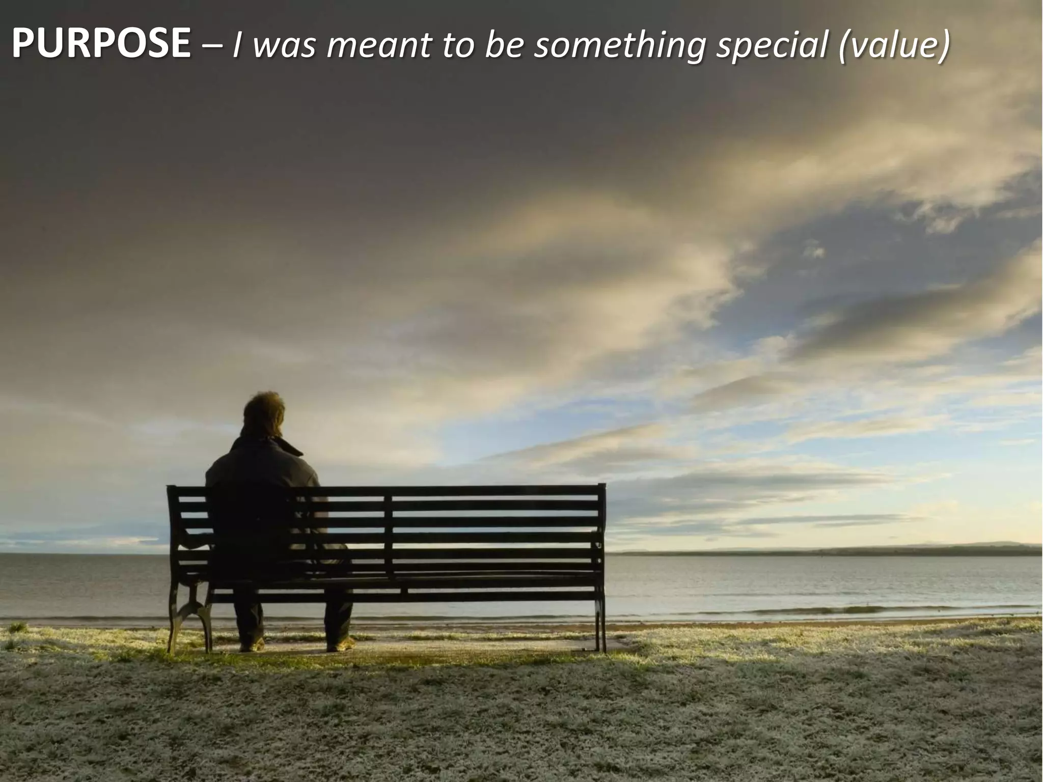 PURPOSE – I was meant to be something special (value)
 