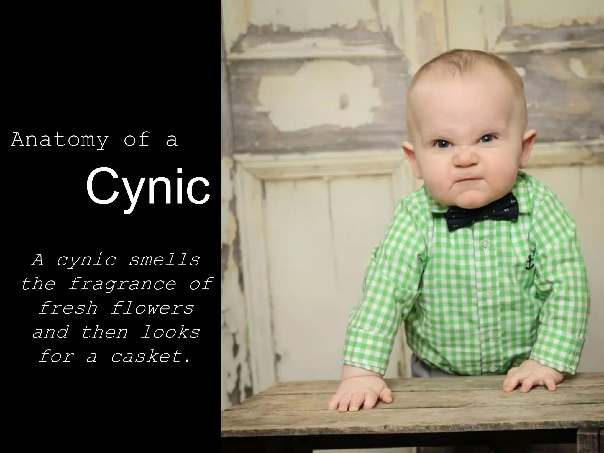 Anatomy of a
Cynic
A cynic smells
the fragrance of
fresh flowers
and then looks
for a casket.
 