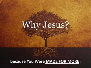 because You Were MADE FOR MORE!
Why Jesus?
 
