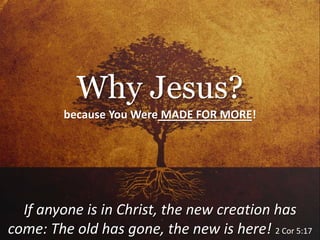 because You Were MADE FOR MORE!
If anyone is in Christ, the new creation has
come: The old has gone, the new is here! 2 Cor 5:17
Why Jesus?
 