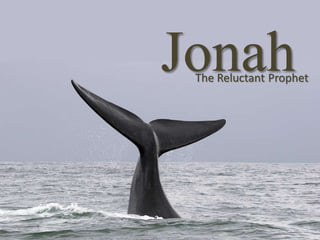 JonahThe Reluctant Prophet
 