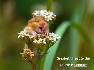 Greatest threat to the
Church is Comfort
 