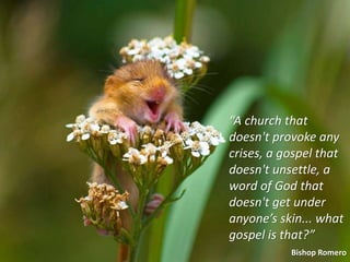 “A church that
doesn't provoke any
crises, a gospel that
doesn't unsettle, a
word of God that
doesn't get under
anyone’s skin... what
gospel is that?”
Bishop Romero
 