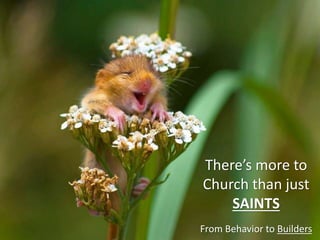 There’s more to
Church than just
SAINTS
From Behavior to Builders
 