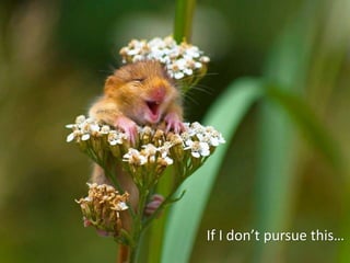 If I don’t pursue this…
 