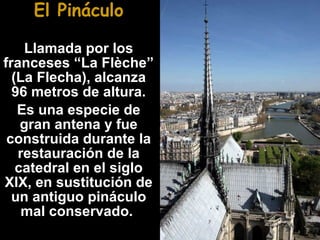 El Pináculo
Llamada por los
franceses “La Flèche”
(La Flecha), alcanza
96 metros de altura.
Es una especie de
gran antena y fue
construida durante la
restauración de la
catedral en el siglo
XIX, en sustitución de
un antiguo pináculo
mal conservado.

 
