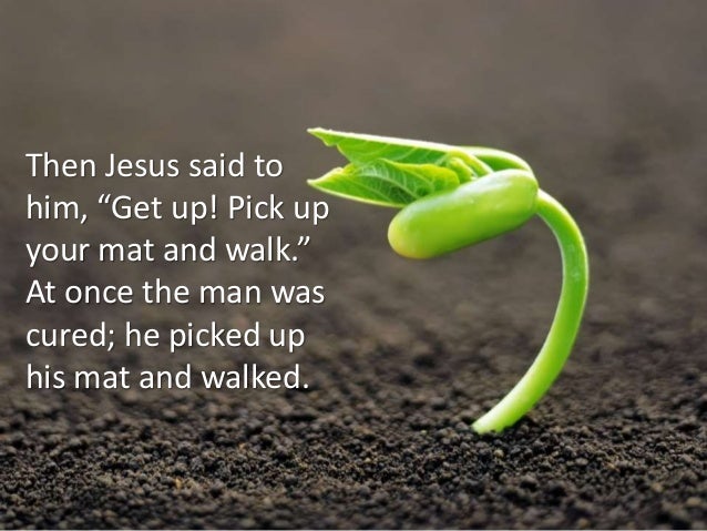 The Blessed Life Part 3