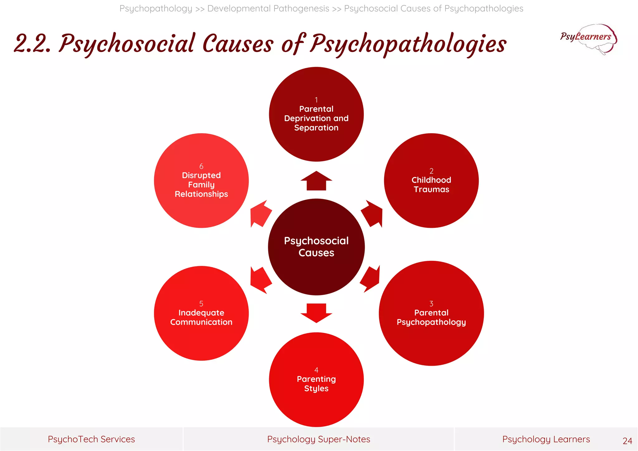Psychology Super-Notes
PsychoTech Services Psychology Learners
Psychopathology >> Developmental Pathogenesis >> Psychosocial Causes of Psychopathologies
2.2. Psychosocial Causes of Psychopathologies
24
Psychosocial
Causes
1
Parental
Deprivation and
Separation
2
Childhood
Traumas
3
Parental
Psychopathology
4
Parenting
Styles
5
Inadequate
Communication
6
Disrupted
Family
Relationships
 