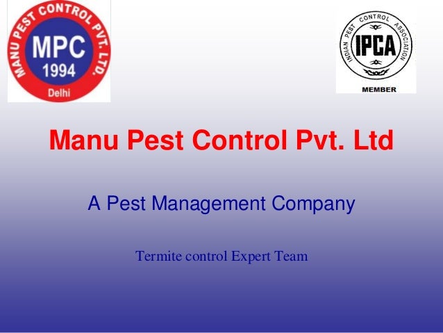 Termite control expert in India