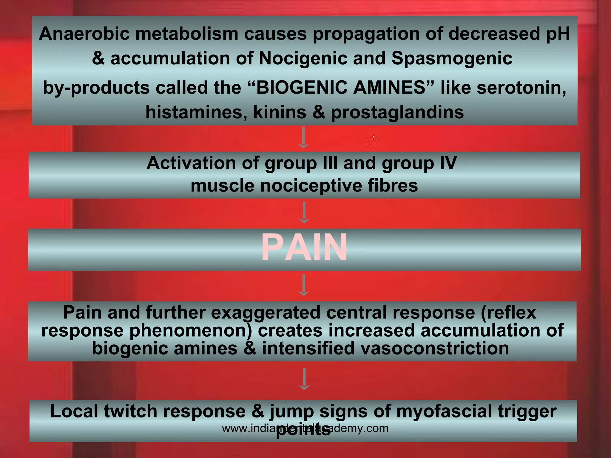 Anaerobic metabolism causes propagation of decreased pH
& accumulation of Nocigenic and Spasmogenic
by-products called the “BIOGENIC AMINES” like serotonin,
histamines, kinins & prostaglandins
Activation of group III and group IV
muscle nociceptive fibres
PAIN
Pain and further exaggerated central response (reflex
response phenomenon) creates increased accumulation of
biogenic amines & intensified vasoconstriction
Local twitch response & jump signs of myofascial trigger
pointswww.indiandentalacademy.com
 