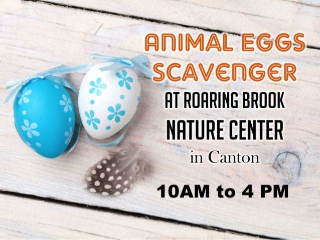 Roaring Brook Nature Center Canton Ct Roaring Brook Nature Center Canton Ct