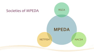 Societies of MPEDA
MPEDA
RGCA
NACSANETFISH
 