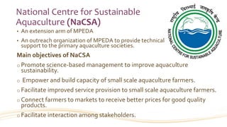 National Centre for Sustainable
Aquaculture (NaCSA)
• An extension arm of MPEDA
• An outreach organization of MPEDA to provide technical
support to the primary aquaculture societies.
Main objectives of NaCSA
o Promote science-based management to improve aquaculture
sustainability.
o Empower and build capacity of small scale aquaculture farmers.
o Facilitate improved service provision to small scale aquaculture farmers.
o Connect farmers to markets to receive better prices for good quality
products.
o Facilitate interaction among stakeholders.
 