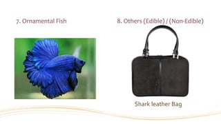 7. Ornamental Fish 8. Others (Edible) / (Non-Edible)
Shark leather Bag
 