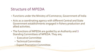 Structure of MPEDA
• Functions under the Ministry of Commerce, Government of India
• Acts as a coordinating agency with different Central and State
Government establishments engaged in fishery production and
allied activities.
• The functions of MPEDA are guided by an Authority and 3
Standing Committees of MPEDA.They are;
• Executive Committee
• Technical Committee
• Export Promotion Committee.
 