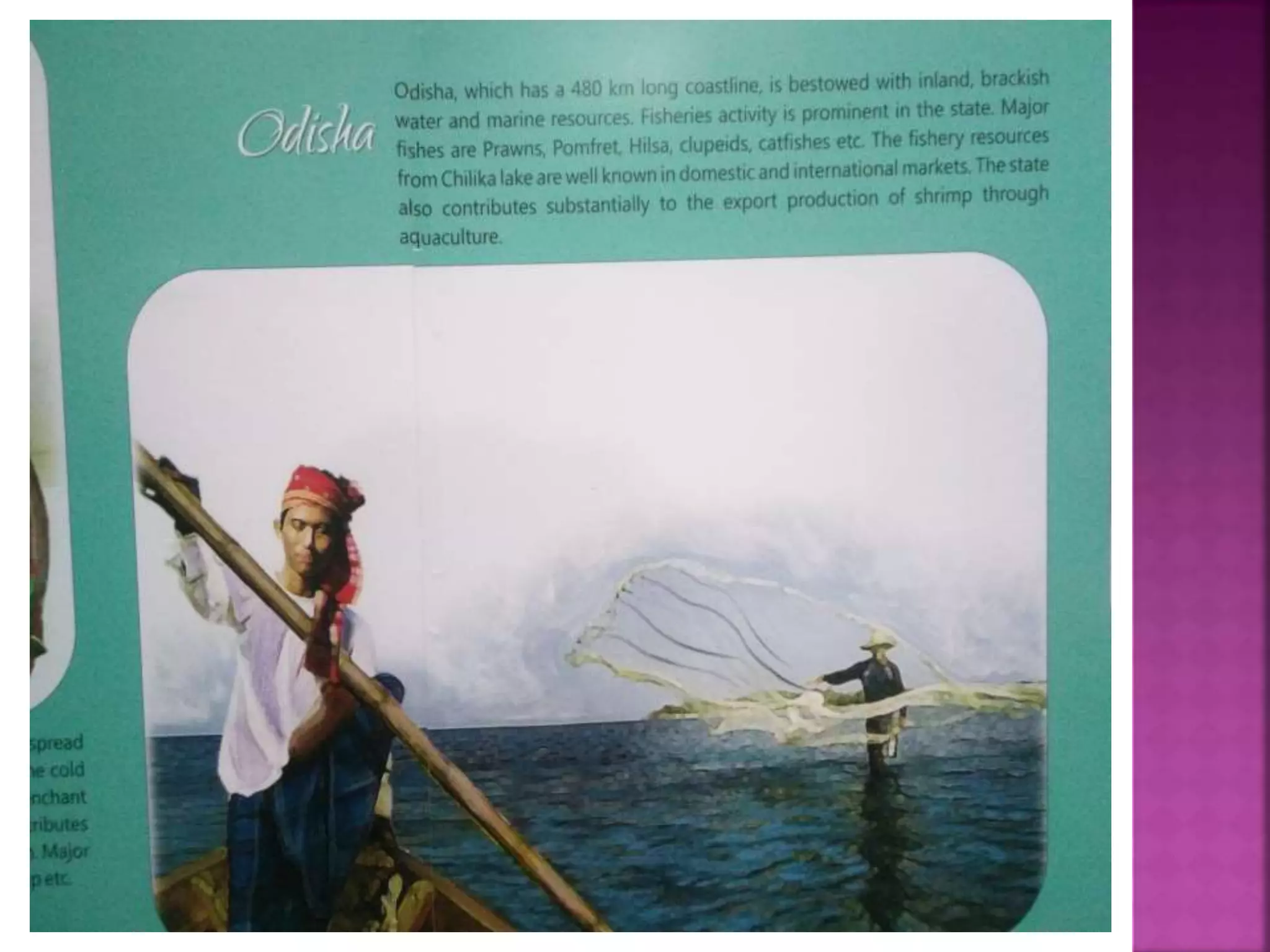 Marine Products Export Development Authority (MPEDA) | PPT
