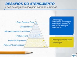 DESAFIOS DO ATENDIMENTO
Foco da segmentação pelo porte da empresa
Capacitação,
consultoria, tecnologia
e inovação; acesso a
mercados; serviços
financeiros
Orientação; informação
Capacitação
Produtor Rural
Potencial Empresário
Potencial Empreendedor
Emp. Pequeno Porte
Microempresa
Microempreendedor individual
 