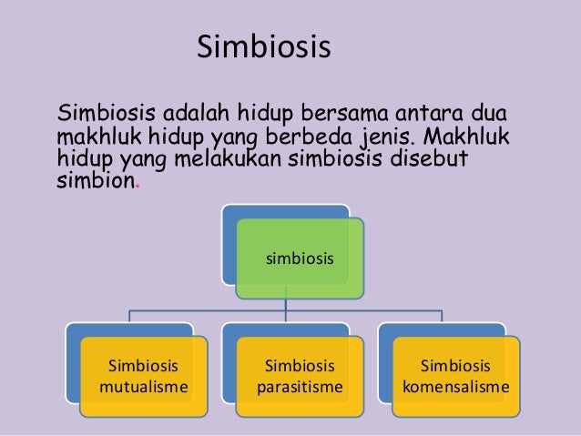 Media pembelajaran ekosistem