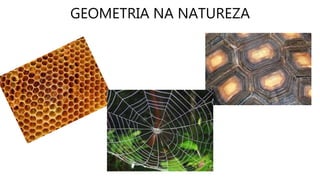 GEOMETRIA NA NATUREZA
 