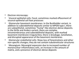 • Electron microscopy:
• Visceral epithelial cells: Focal, sometimes marked effacement of
visceral epithelial cell foot processes
• Glomerular basement membranes: In the Burkholder variant, in
addition to subendothelial deposits similar to MPGN type I, there
are subepithelial, sometimes “hump”-like electron-dense deposits.
In the Strife and Anders variant, there are complex
intramembranous and subendothelial deposits, with marked
basement membrane irregularities; there is breakage, lamellation,
and disrupted appearance of the basement membranes
• Glomerular endothelial cells: Show loss of fenestrations and other
non-specific changes; they do not contain tubuloreticular structures
• Mesangium: Mesangial expansion due to increased number of
mononuclear inflammatory cells, an increase in the amount of
matrix, and a presence of electron-dense deposits
 