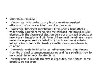 • Electron microscopy:
• Visceral epithelial cells: Usually focal, sometimes marked
effacement of visceral epithelial cell foot processes
• Glomerular basement membranes: Prominent subendothelial
widening by basement membrane material and interposed cellular
elements, in the absence of electron-dense or organized deposits. A
new, usually irregular and thin layer of basement membrane is seen
under the regenerated endothelium (double contours); cellular
interposition between the two layers of basement membrane is
common
• Glomerular endothelial cells: Loss of fenestrations, detachment
from the original basement membranes, and focal swelling; they do
not contain tubuloreticular structures
• Mesangium: Cellular debris may be deposited, but electron-dense
deposits are not seen
 