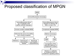 Proposed classification of MPGN
 