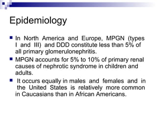 Epidemiology
 In North America and Europe, MPGN (types
I and III) and DDD constitute less than 5% of
all primary glomerulonephritis.
 MPGN accounts for 5% to 10% of primary renal
causes of nephrotic syndrome in children and
adults.
 It occurs equally in males and females and in
the United States is relatively more common
in Caucasians than in African Americans.
 