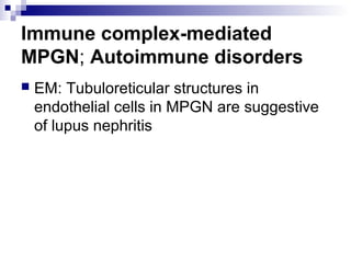 Immune complex-mediated
MPGN; Autoimmune disorders
 EM: Tubuloreticular structures in
endothelial cells in MPGN are suggestive
of lupus nephritis
 