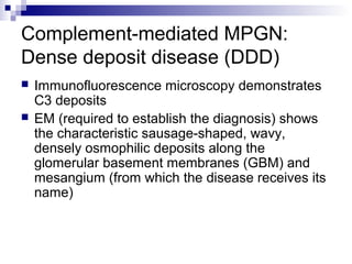Complement-mediated MPGN:
Dense deposit disease (DDD)
 Immunofluorescence microscopy demonstrates
C3 deposits
 EM (required to establish the diagnosis) shows
the characteristic sausage-shaped, wavy,
densely osmophilic deposits along the
glomerular basement membranes (GBM) and
mesangium (from which the disease receives its
name)
 