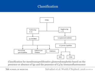 S L I D E 19
Classification
Salvadori et al. World J Nephrol. 2016
Classification for membranoproliferative glomerulonephritis based on the
presence or absence of Igs and the presence of C3 by immunofluorescence
 