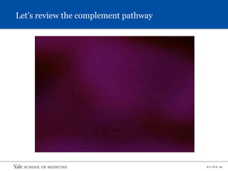 S L I D E 22
Let’s review the complement pathway
 