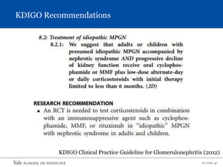 S L I D E 47
KDIGO Recommendations
KDIGO Clinical Practice Guideline for Glomerulonephritis (2012)
 